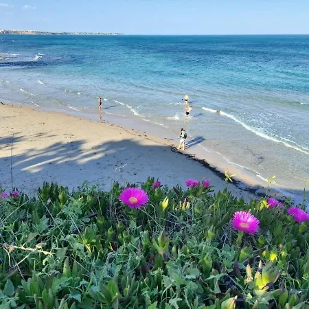 El De Papa - Mil Palmeras Dehesa de Campoamor (Orihuela Costa)
